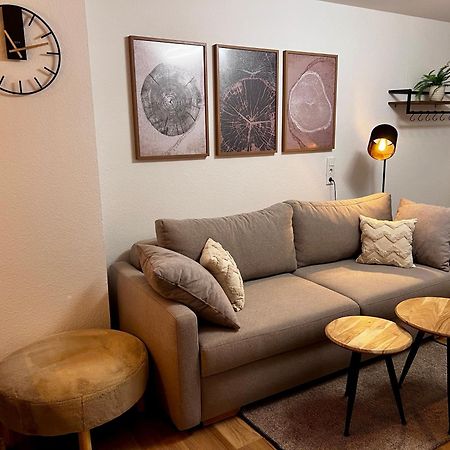 Апартаменти Main Cozy Casa Am Ringpark Free Parking Вюрцбург Екстер'єр фото