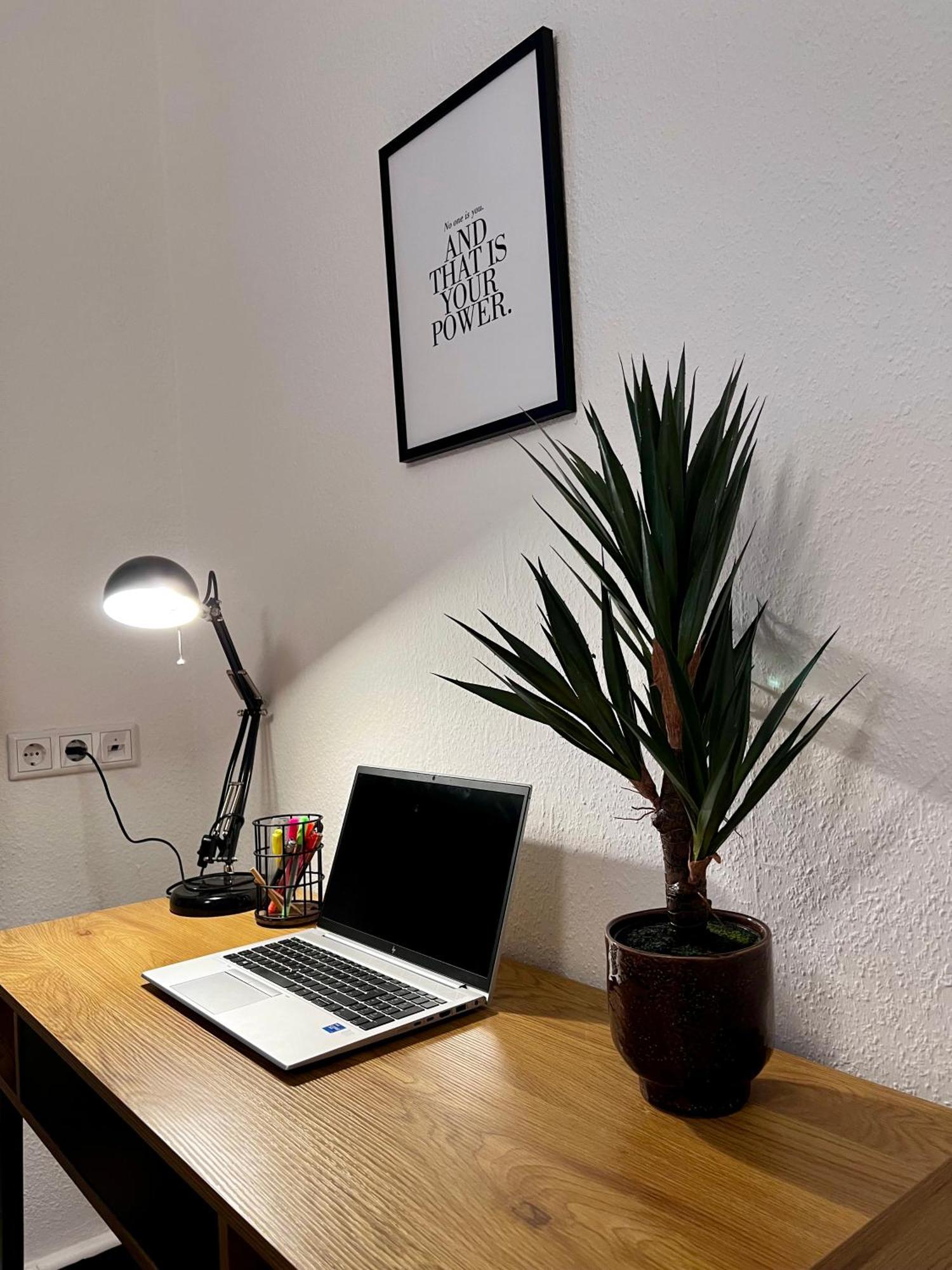 Апартаменти Main Cozy Casa Am Ringpark Free Parking Вюрцбург Екстер'єр фото
